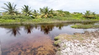 I went to have some sex with my friends in the Bahia swamp